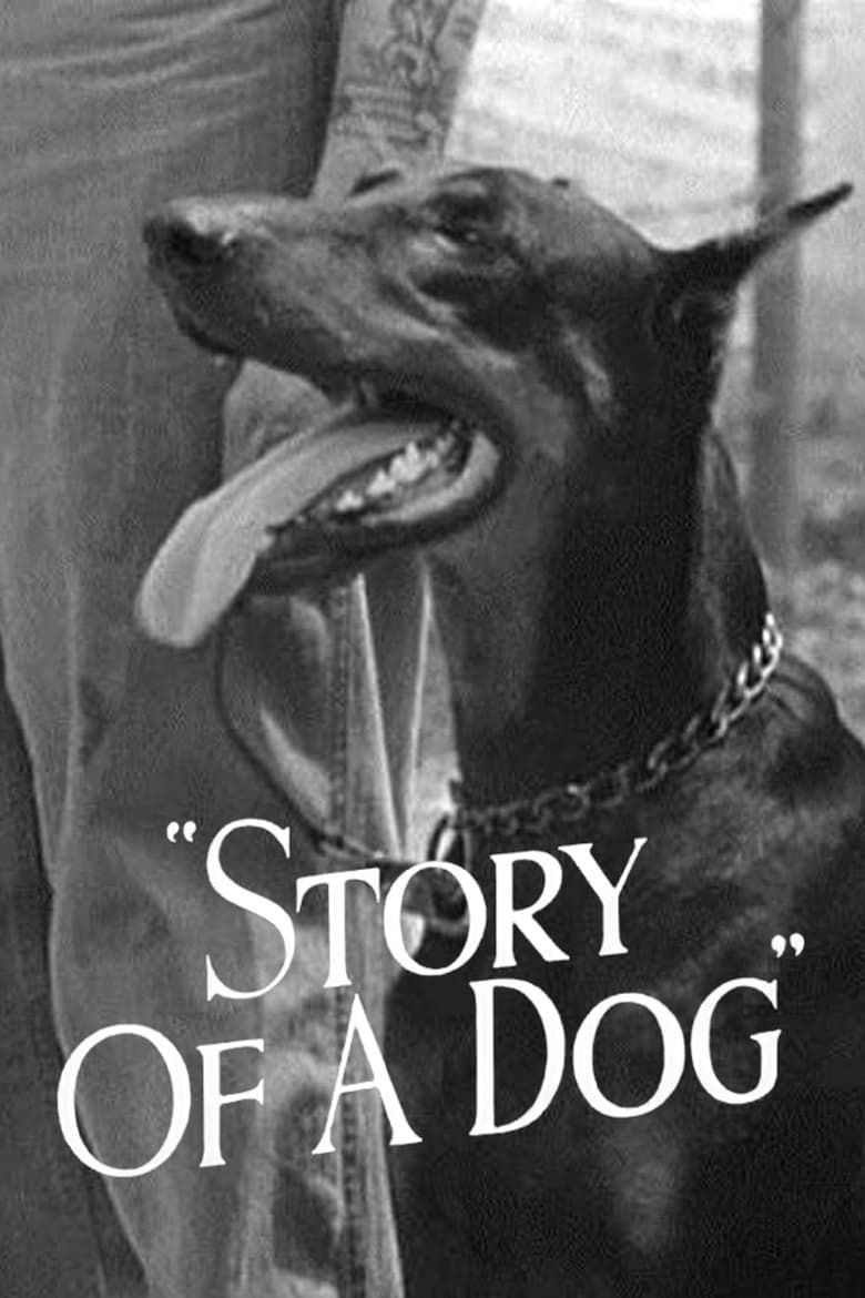 Poster of Story of a Dog