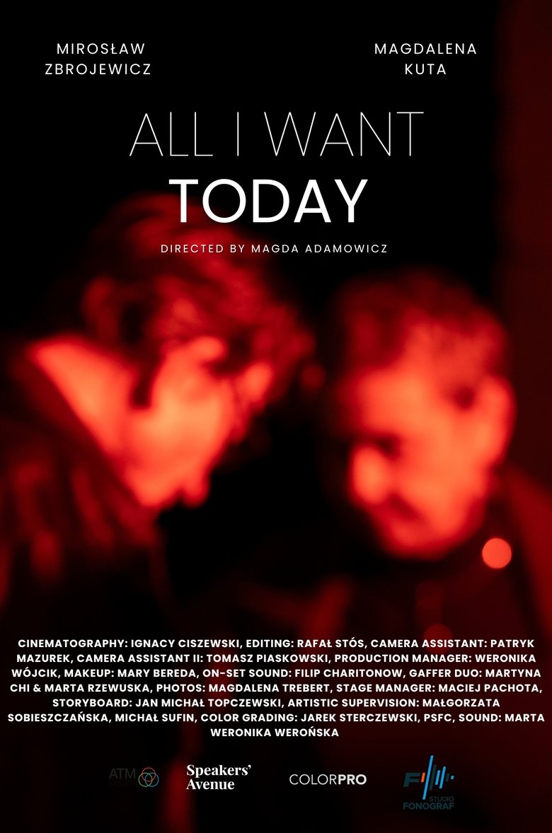 Poster of All I Want Today