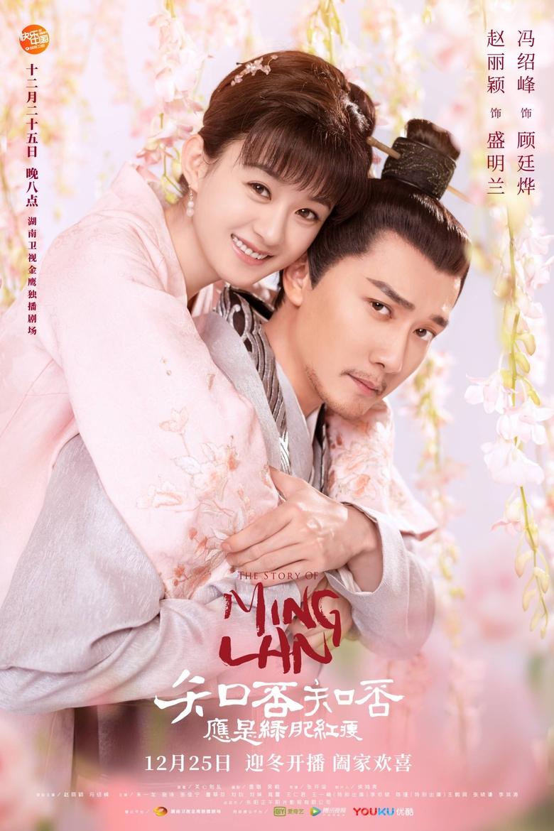 Poster of 知否知否应是绿肥红瘦 (DVD版)