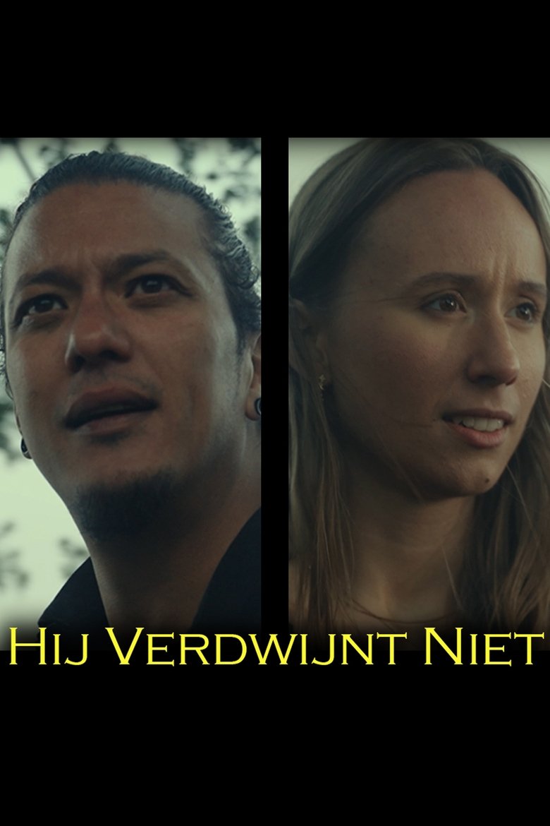 Poster of He doesn't disappear