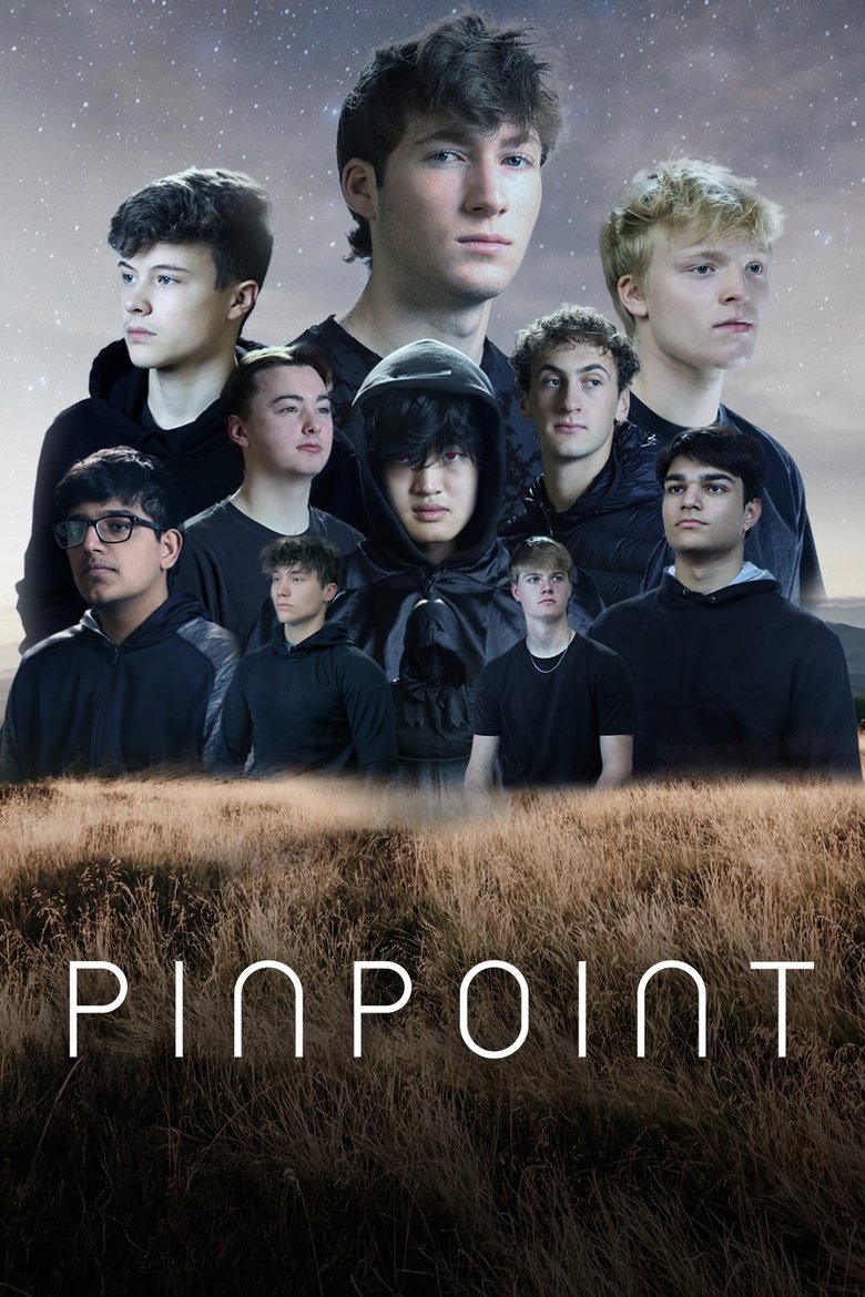Poster of Pinpoint
