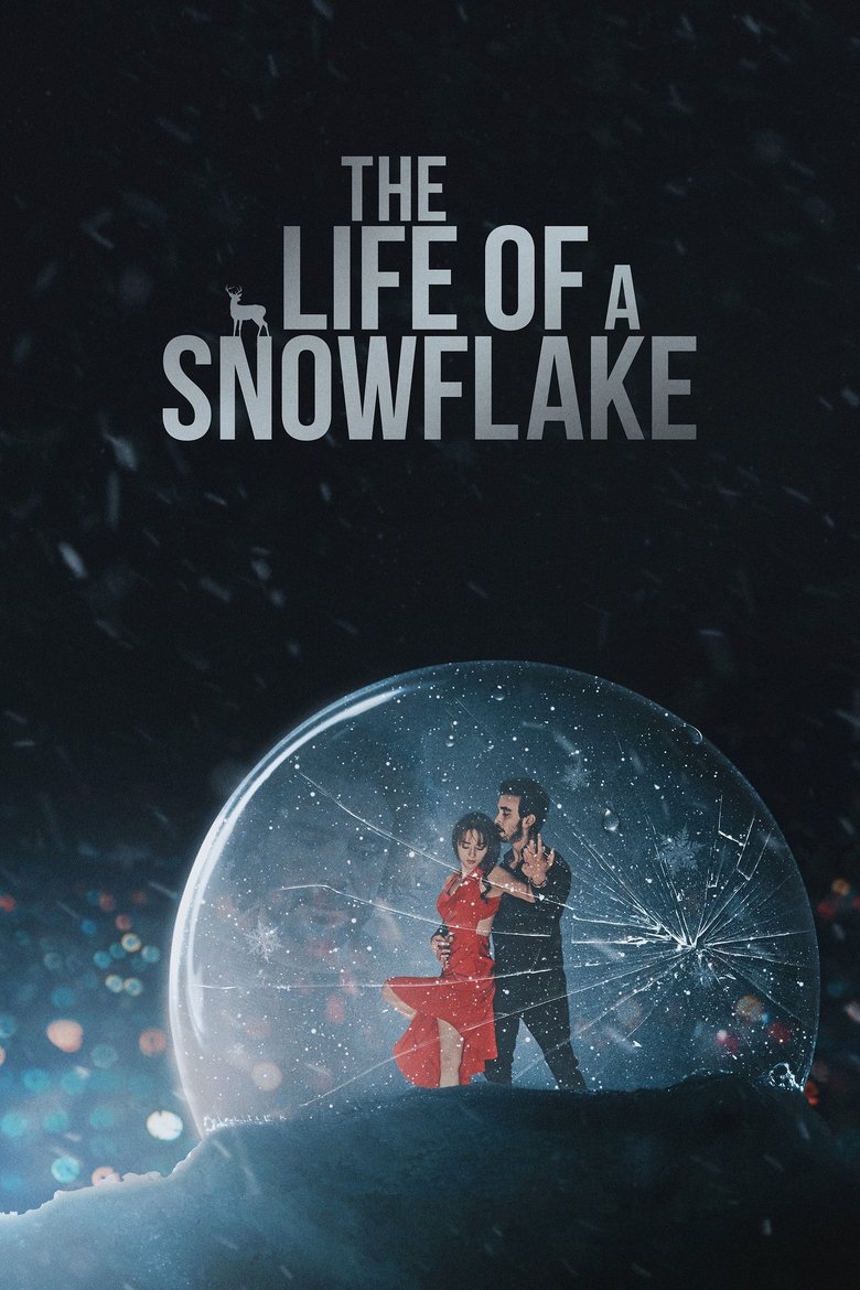 Poster of The Life of a Snowflake