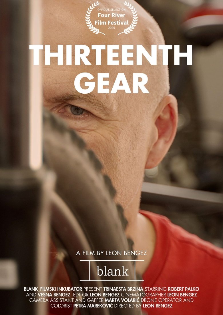 Poster of Thirteenth gear