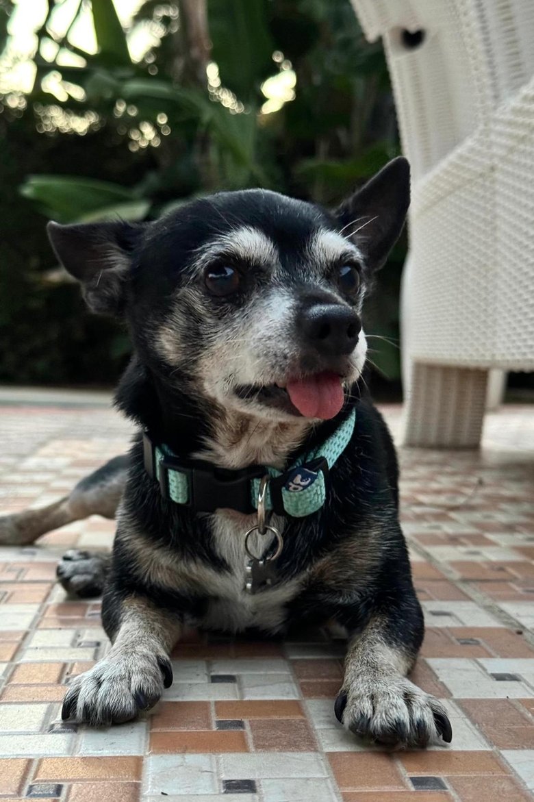Portrait of Cuki