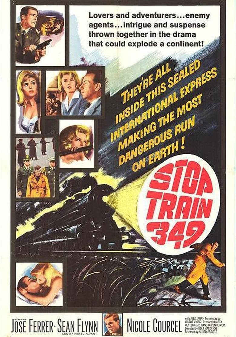 Poster of Stop Train 349