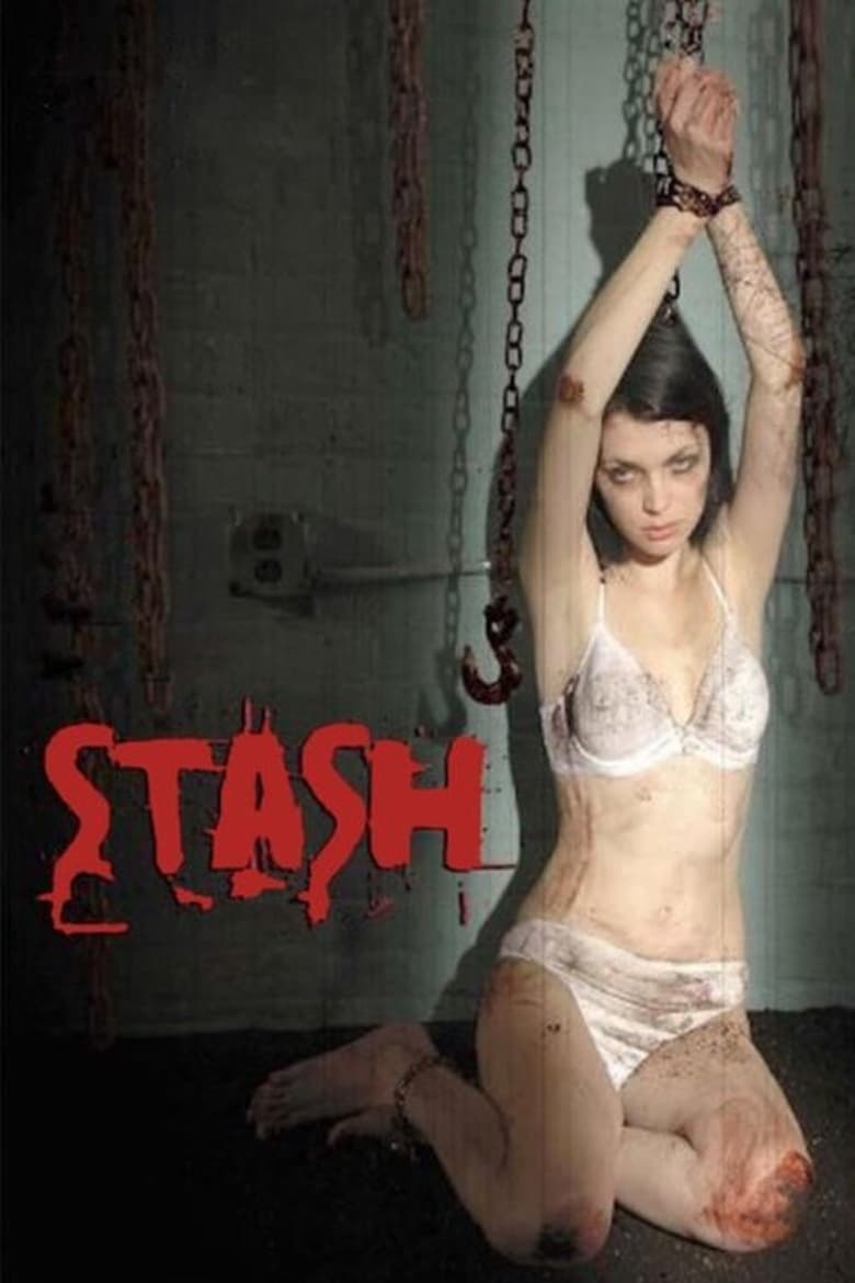 Poster of Stash