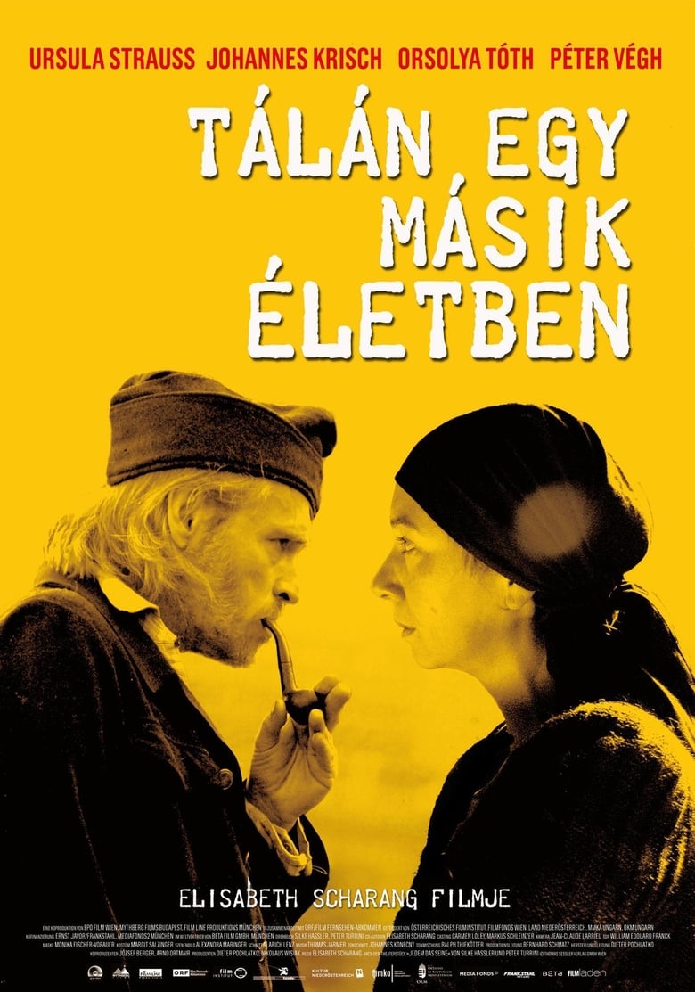 Poster of Vielleicht in einem anderen Leben