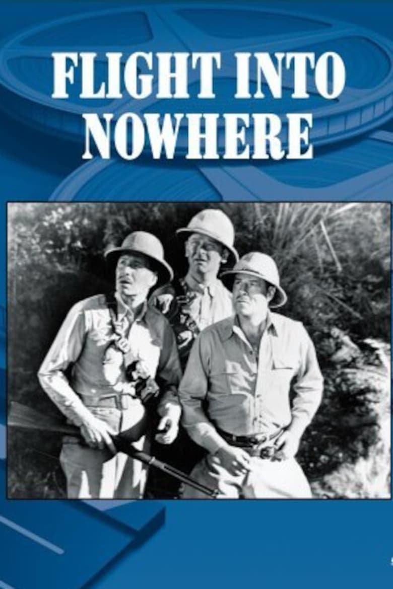 Poster of Flight Into Nowhere