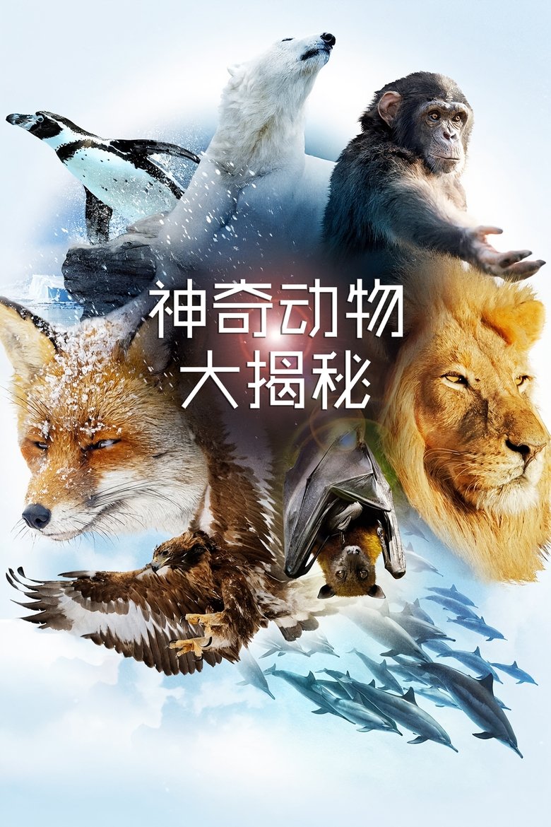 Poster of Episodes in The Wonder Of Animals - Season 1 - Season 1