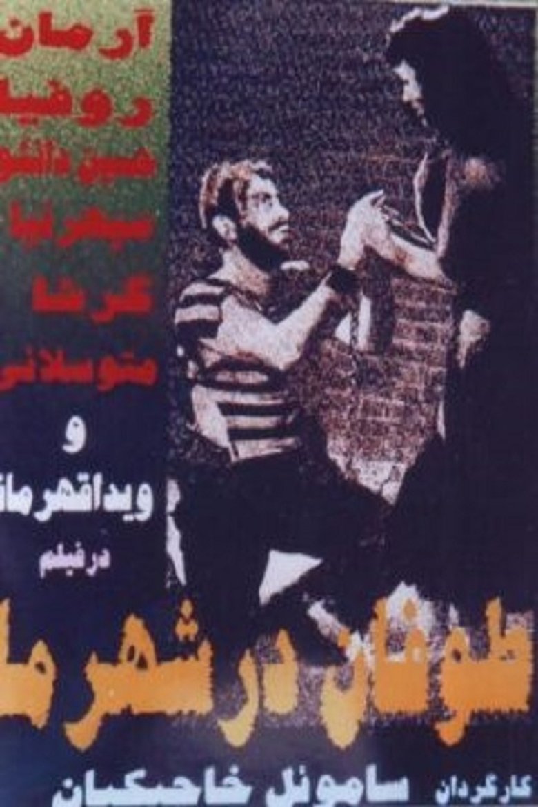 Poster of Storm in Our Town