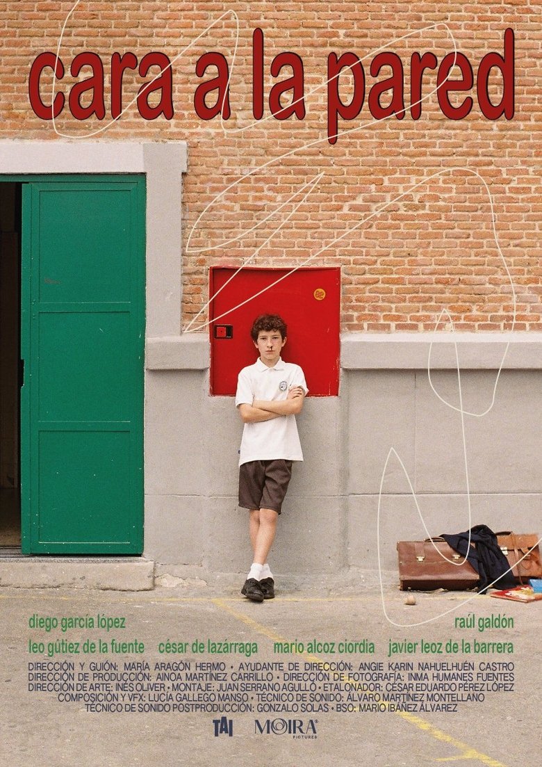 Poster of Cara a la pared