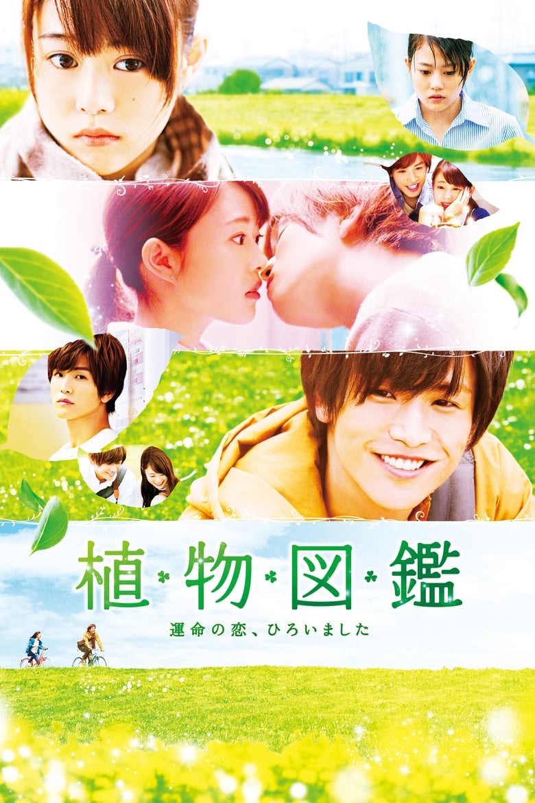 Poster of Evergreen Love