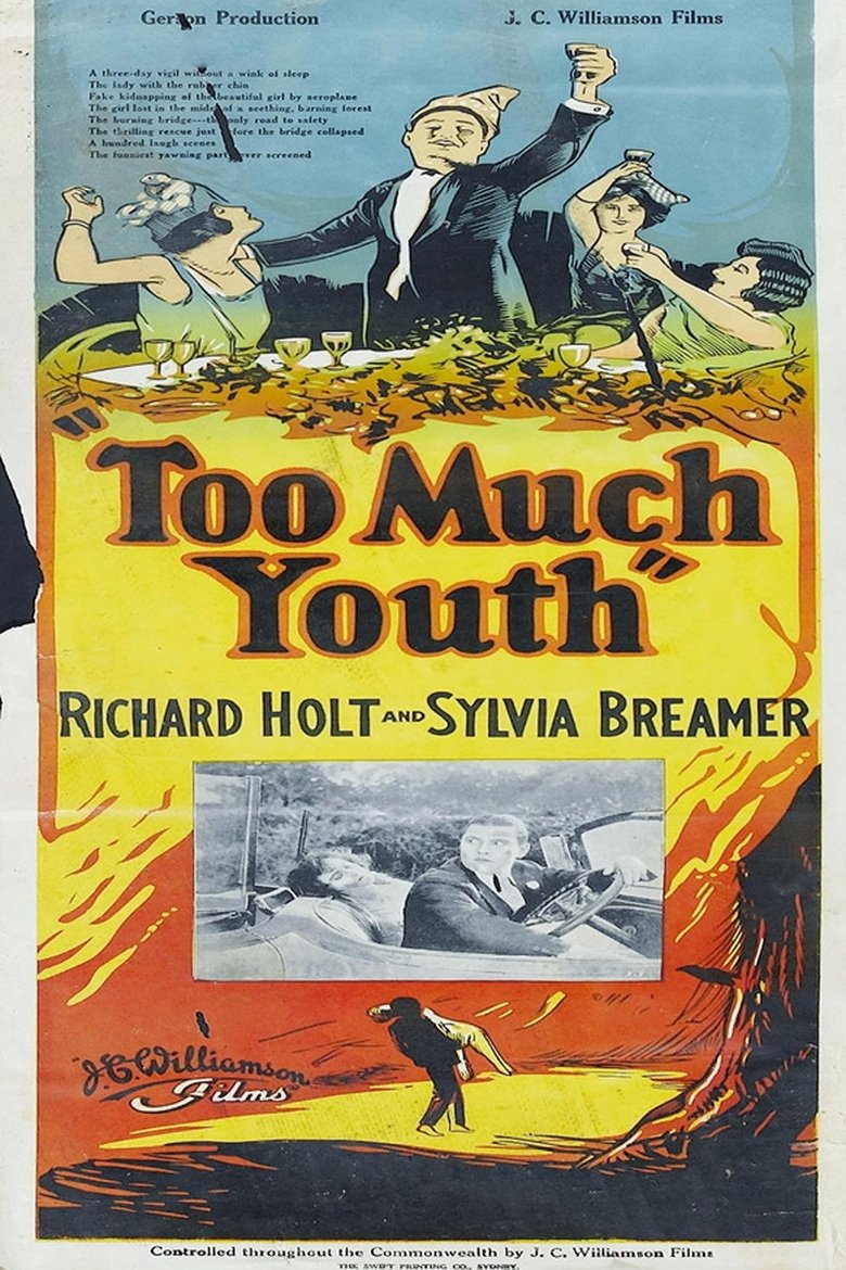 Poster of Too Much Youth