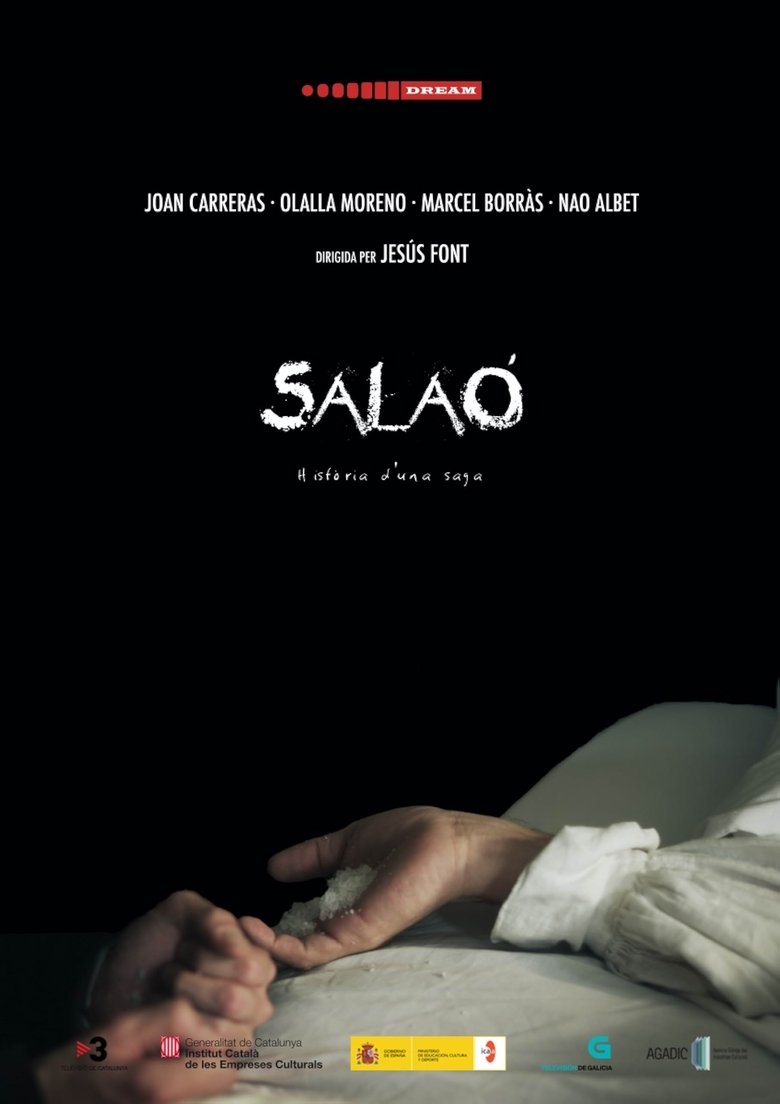 Poster of Salaó