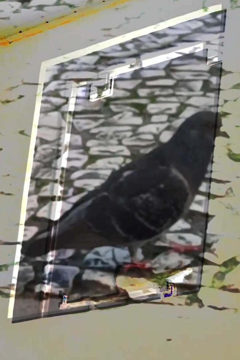 Poster of não tenho dormido muito mas continuo sonhando a cada piscada