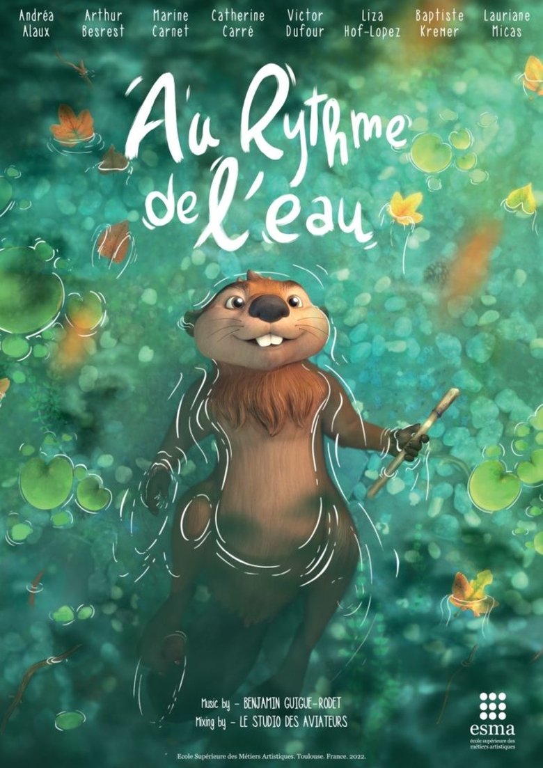 Poster of The Rhythm of Water