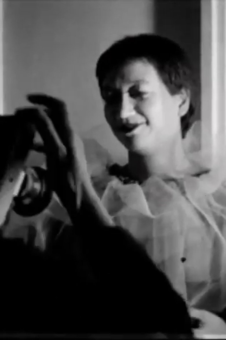 Poster of Studies Photographing a Model