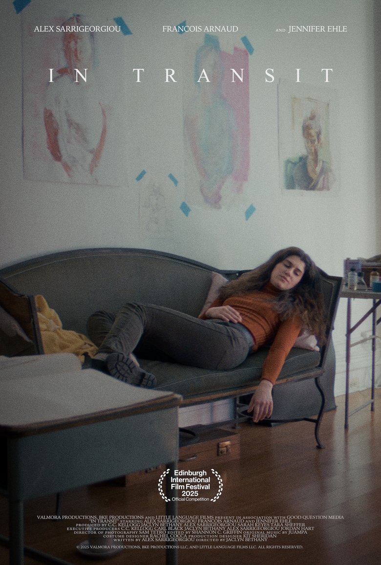 Poster of In Transit