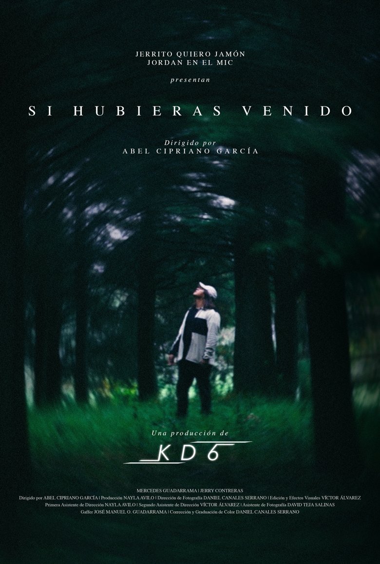 Poster of Si hubieras venido