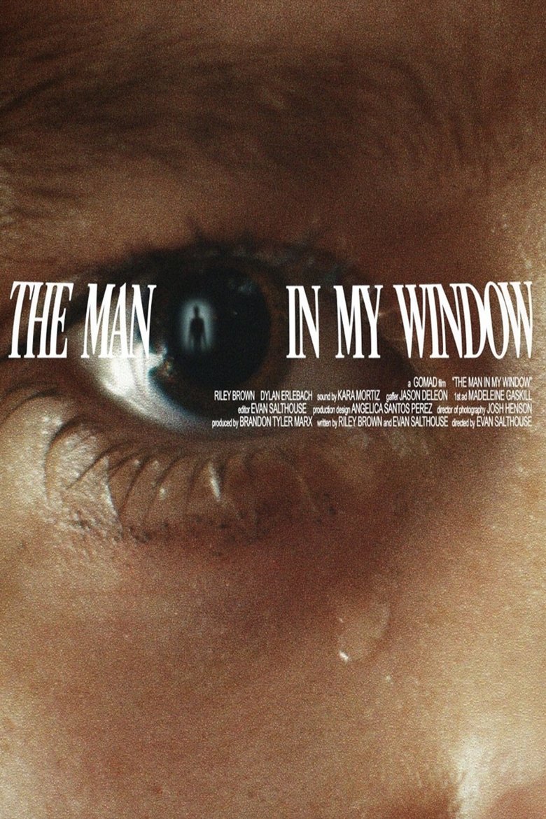 Poster of The Man In My Window