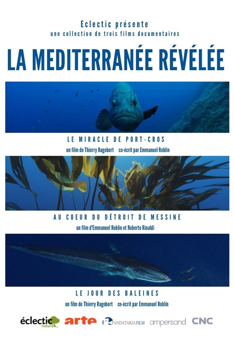 Poster of Episodes in La Méditerranée Révélée - Season 1 - Season 1