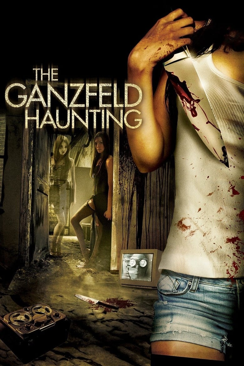 Poster of The Ganzfeld Haunting