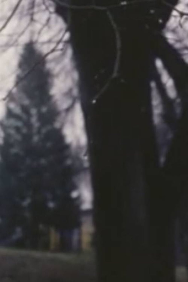 Poster of Thunder