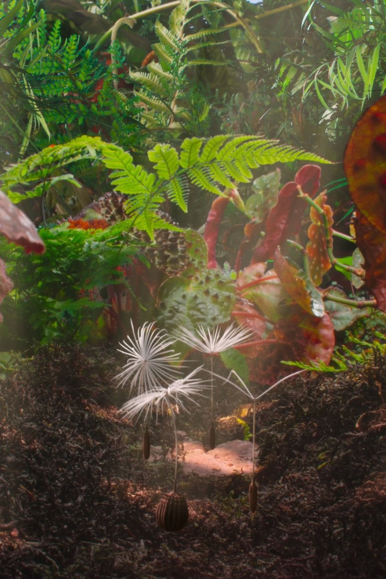 Poster of Dandelion's Odyssey