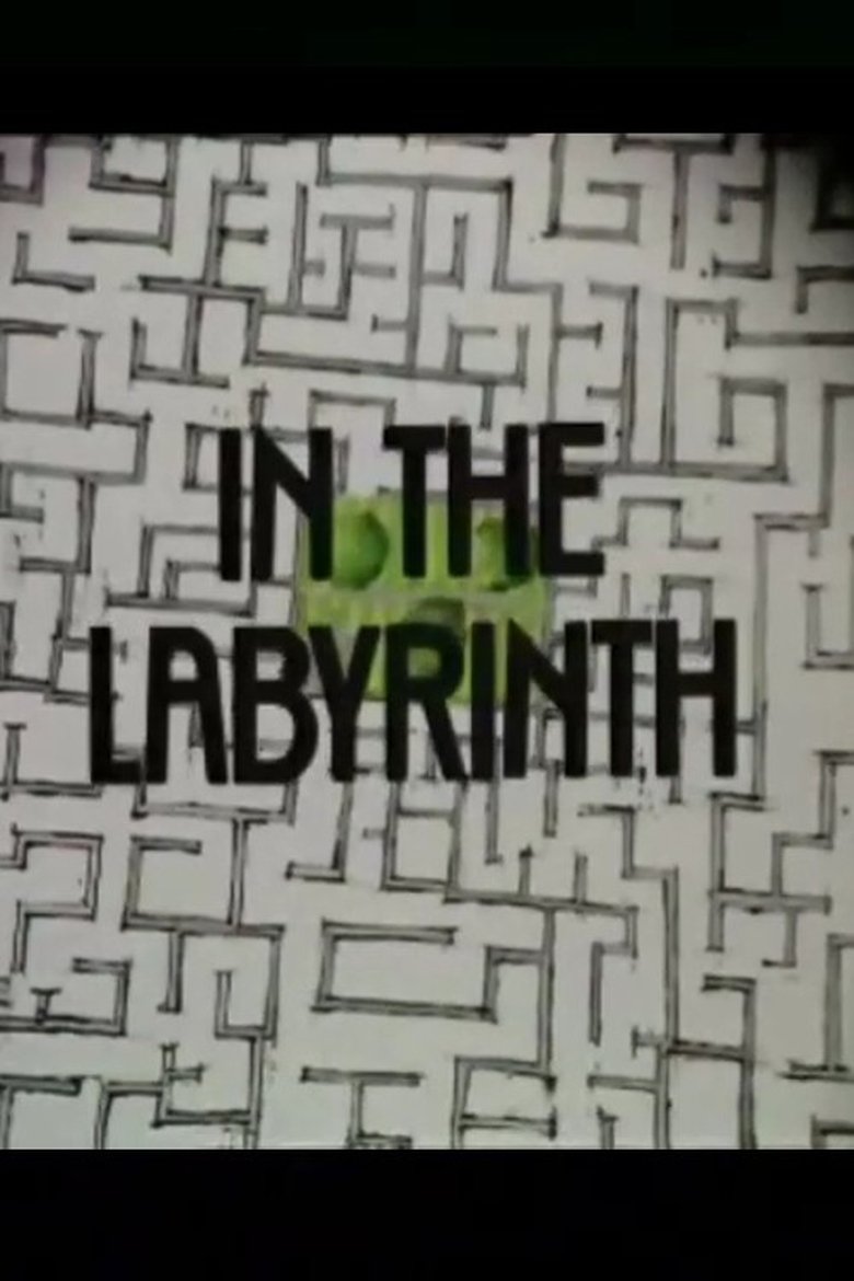 Poster of In the Labyrinth