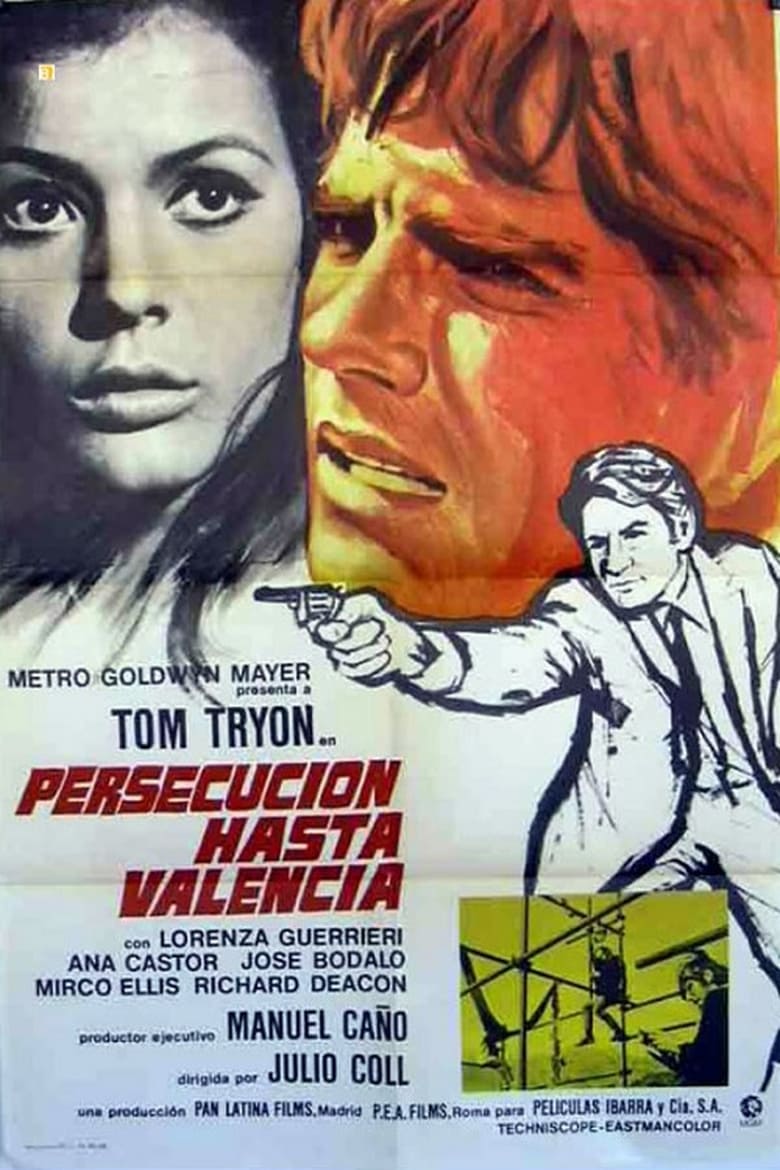 Poster of Persecución hasta Valencia