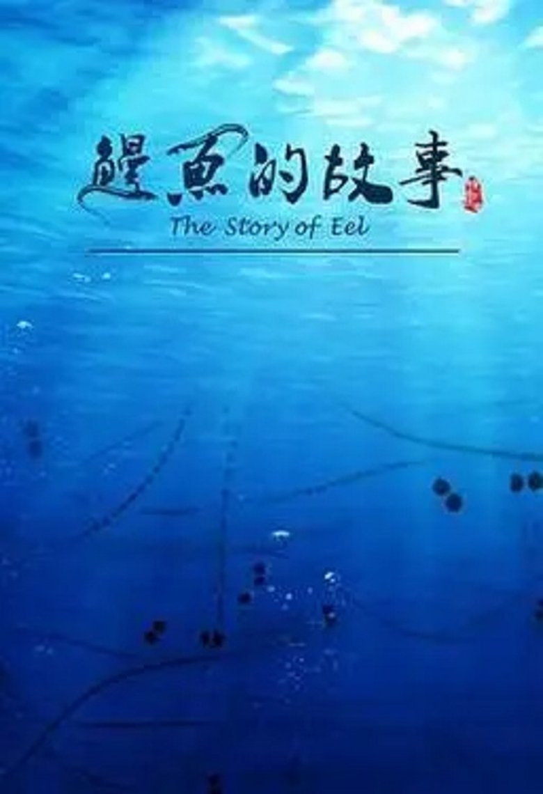 Poster of 鳗鱼的故事