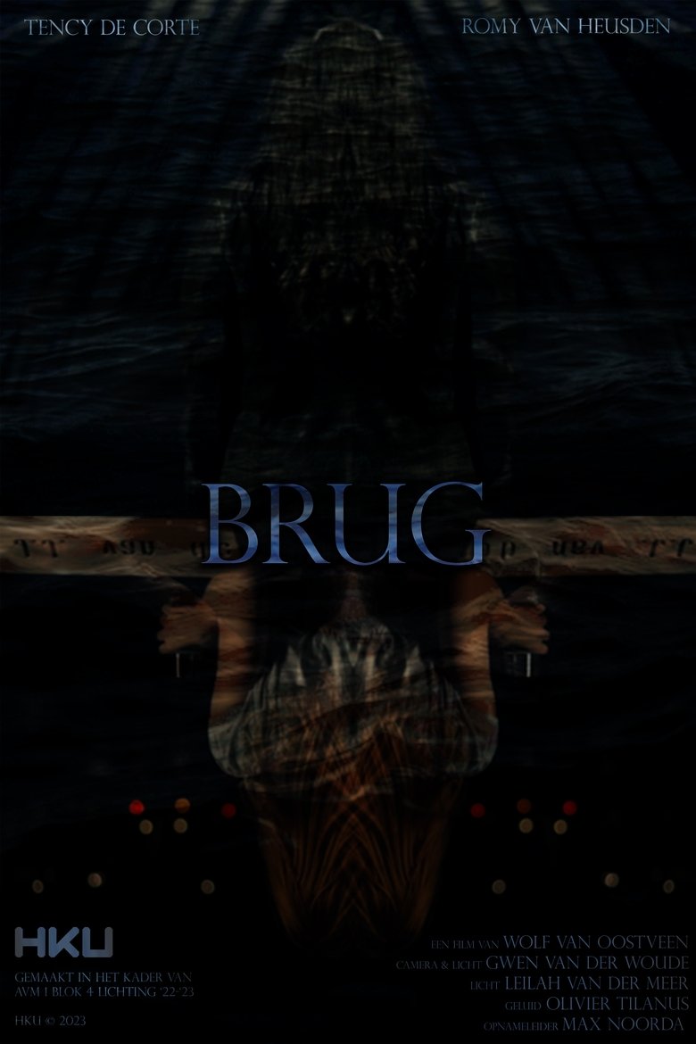 Poster of Brug
