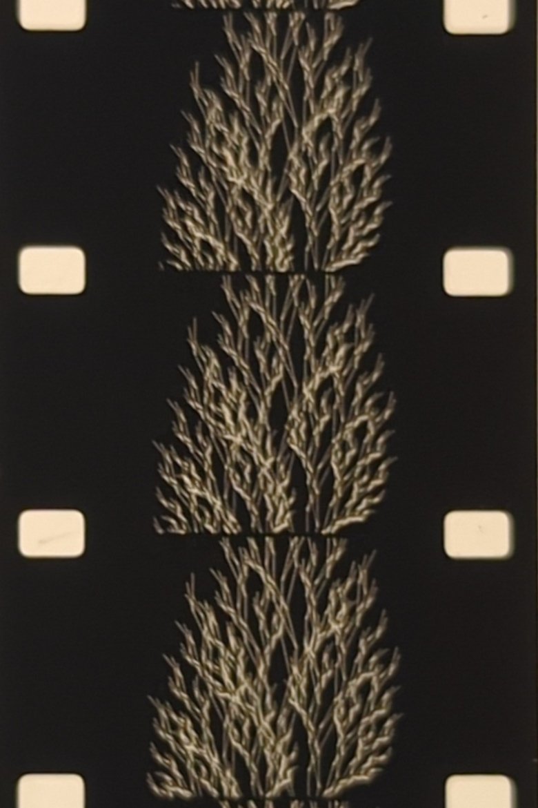 Poster of From the Family of Eggs