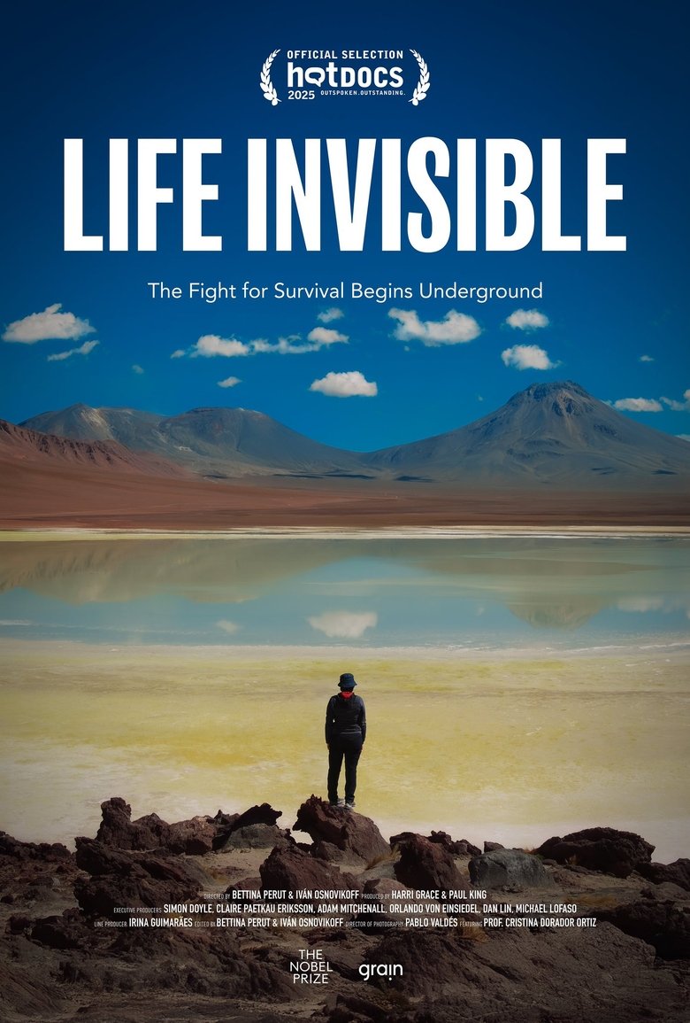 Poster of Life Invisible