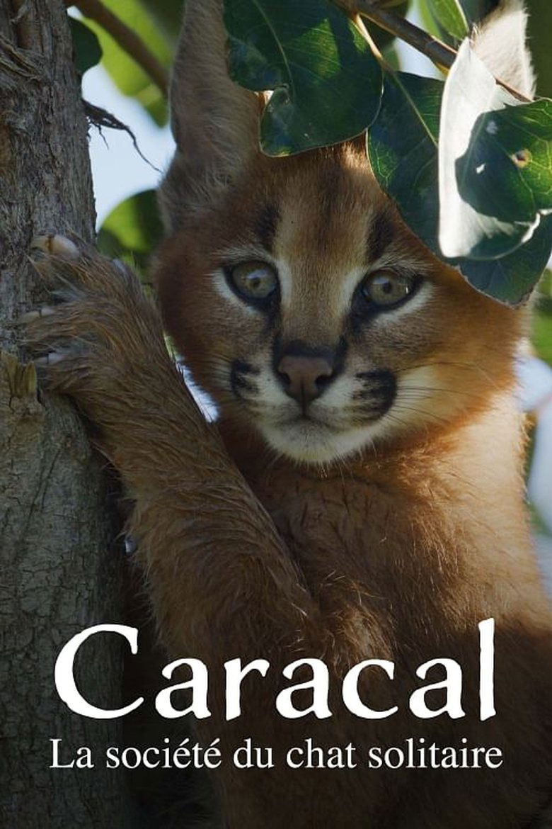 Poster of Caracal: The Lone Cat Society