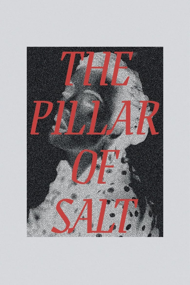 Poster of The Pillar of Salt