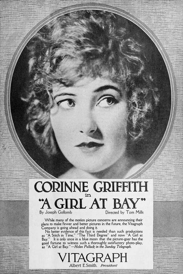 Poster of A Girl at Bay