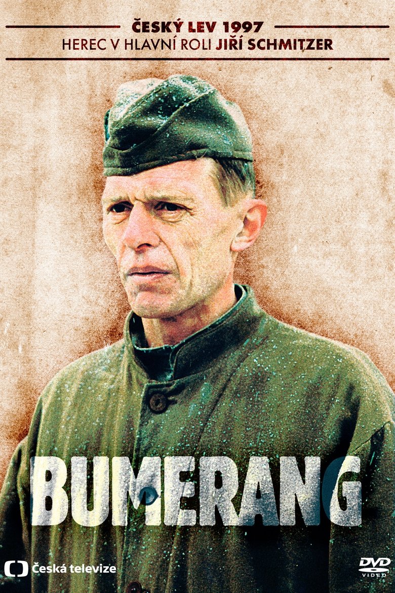 Poster of Boomerang