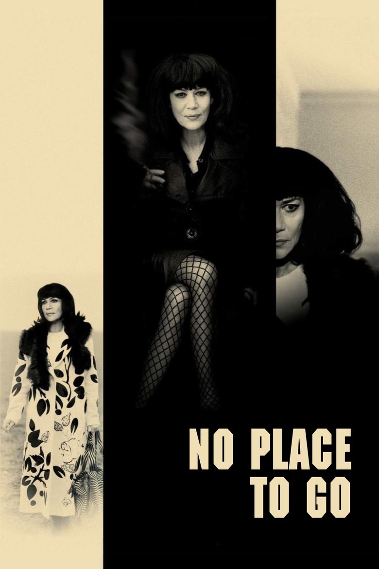 Poster of No Place to Go
