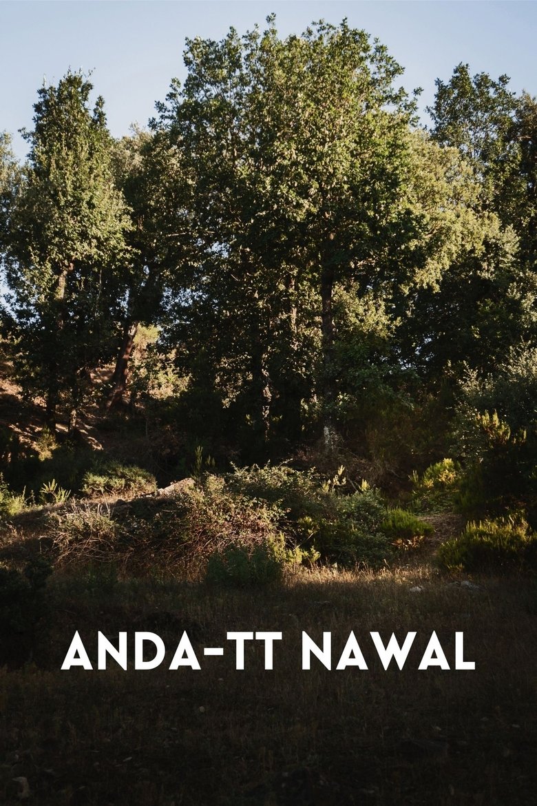 Poster of Anda-tt Nawal