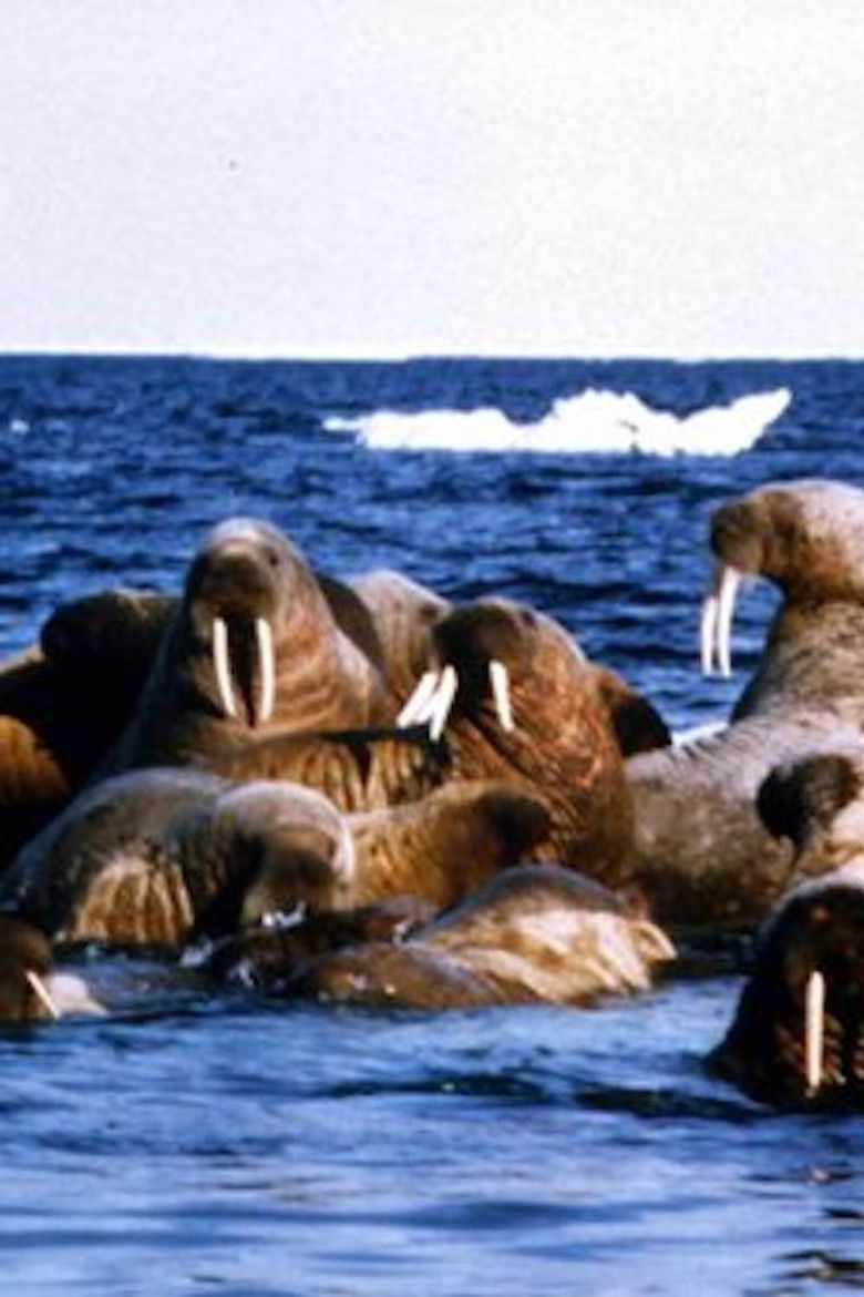 Poster of Edge of Ice