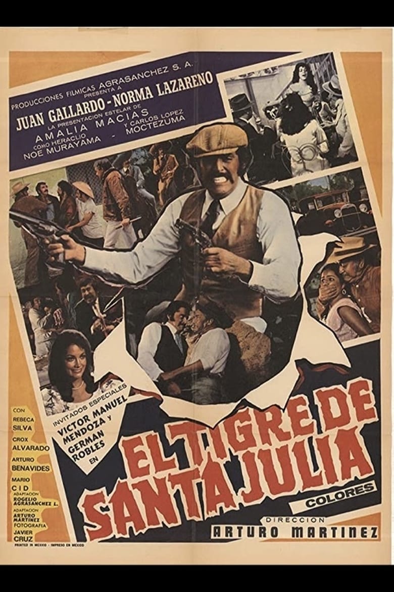 Poster of El tigre de Santa Julia