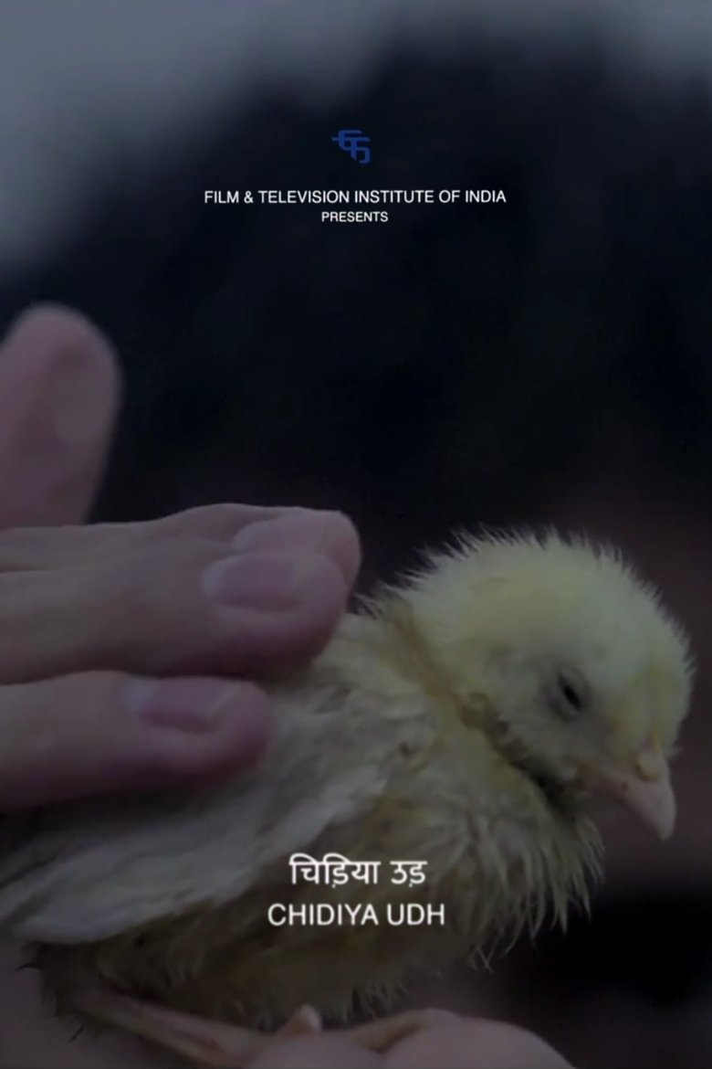 Poster of Fly, Bird