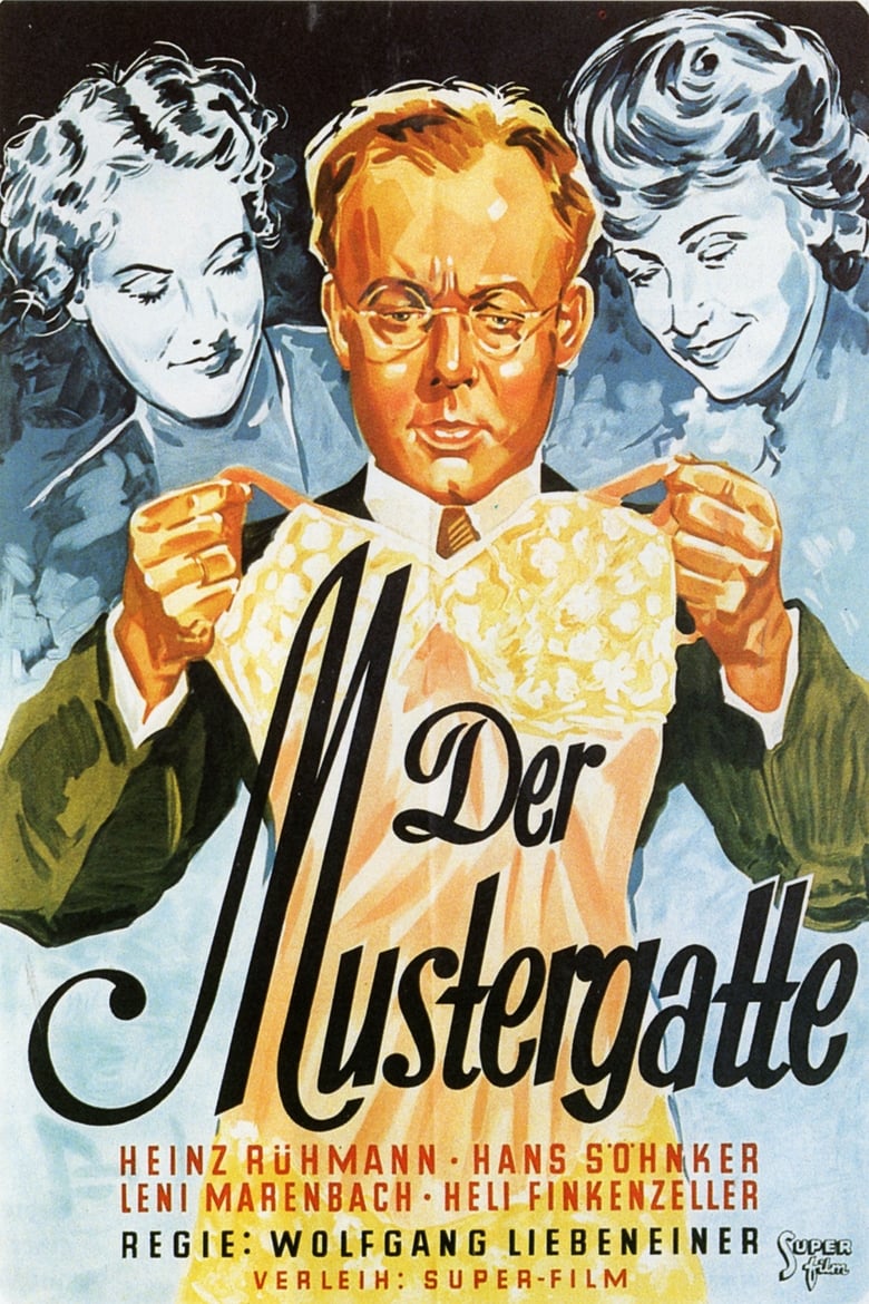 Poster of Der Mustergatte