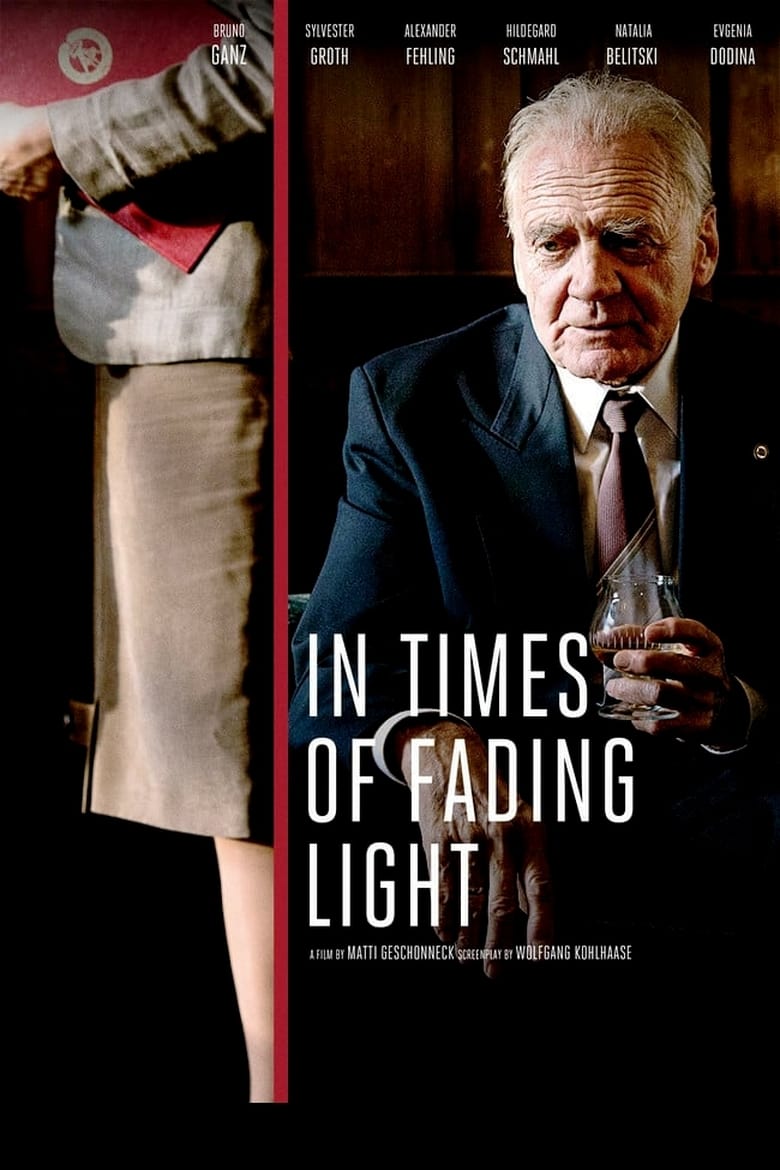 Poster of In Times of Fading Light