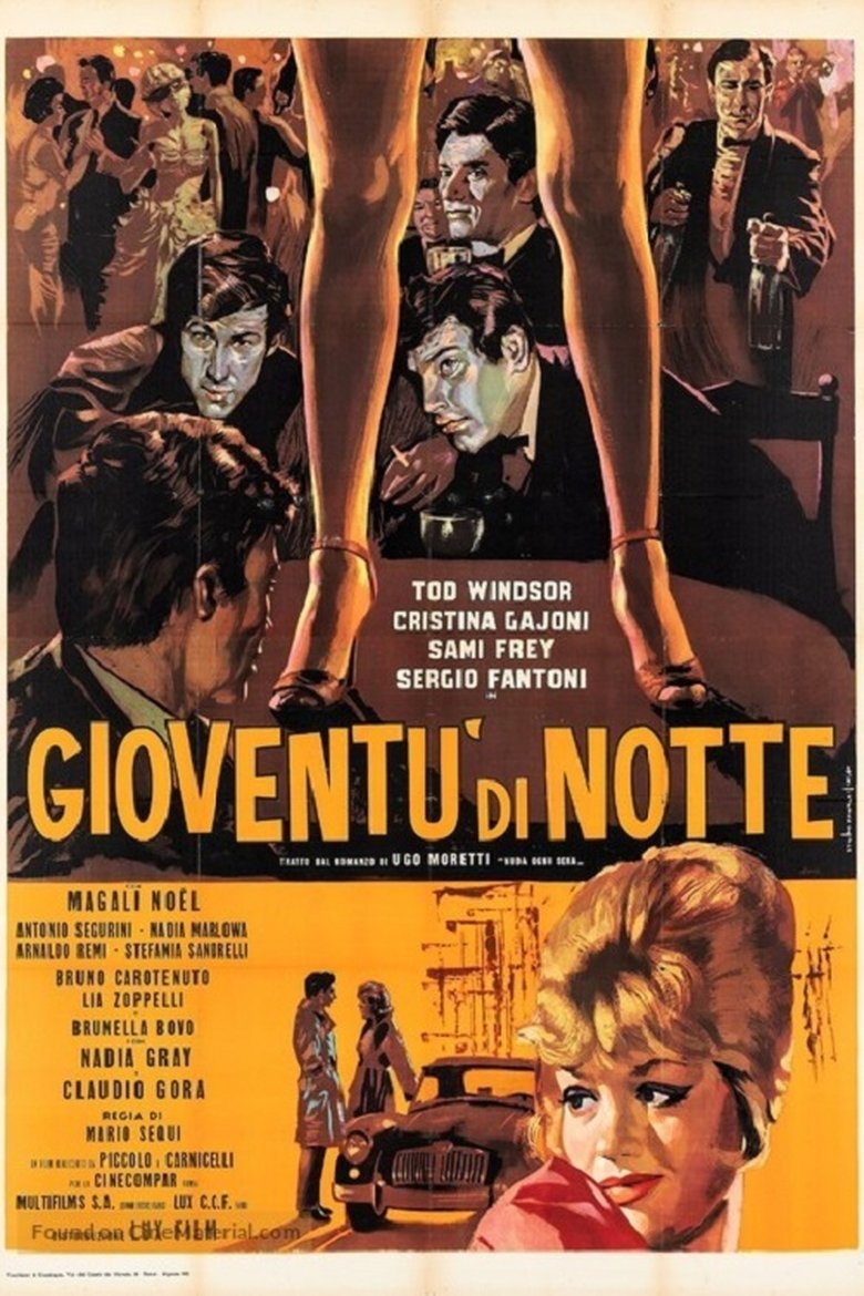 Poster of Youth at Night