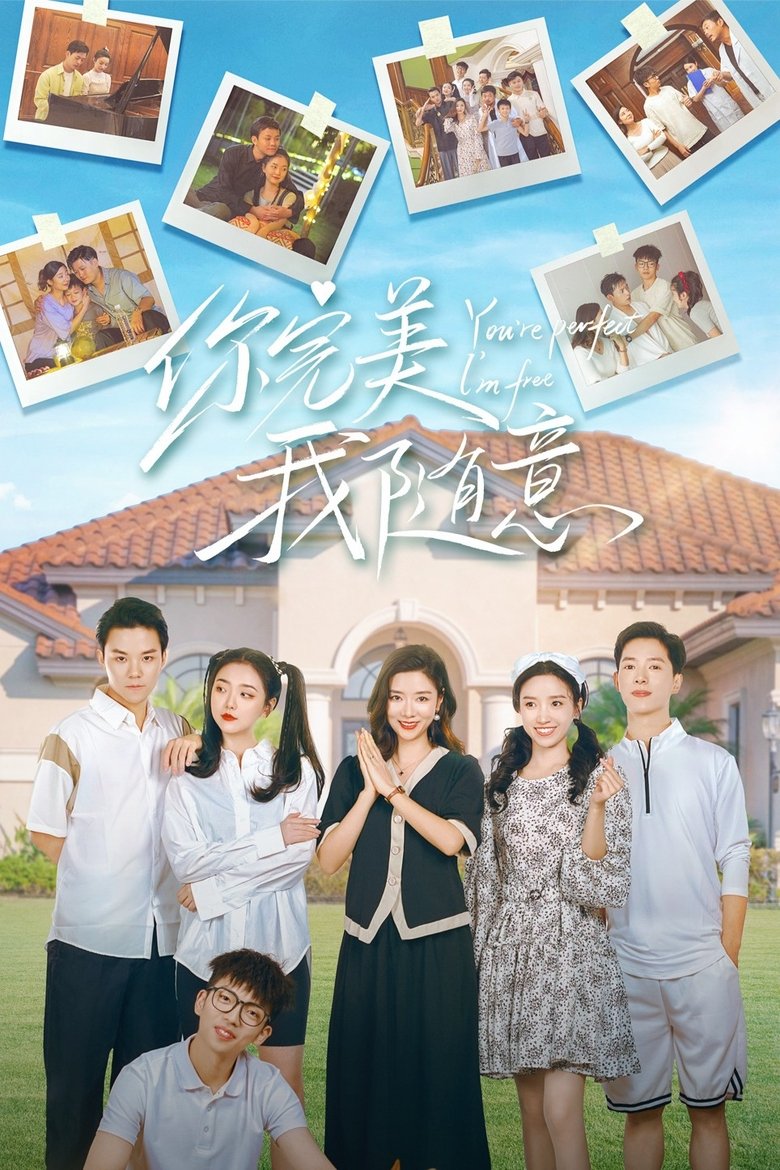 Poster of You're Perfect I'm Free
