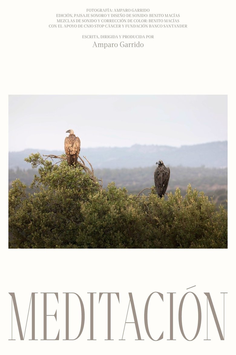 Poster of Meditación