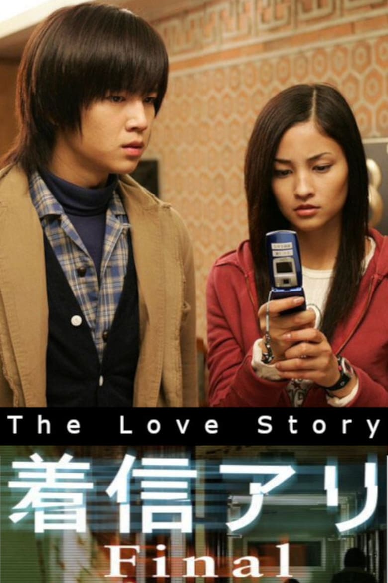 Poster of The Love Story