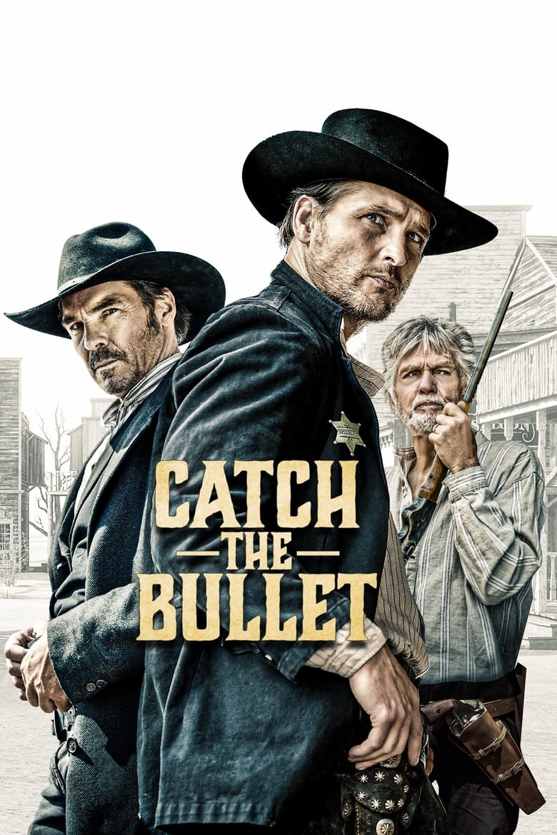 Poster of Catch the Bullet